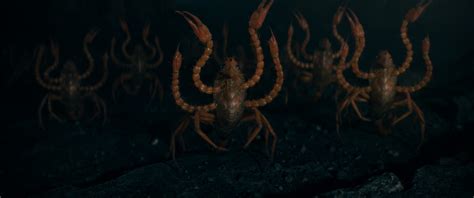 reddit fantastic beasts|secrets of dumbledore crab scene.